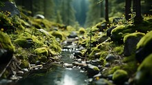 Tilt-shift Photography Of A Sprawling Forest Landscape, Creating A Miniature-like Effect. (Generative AI)
