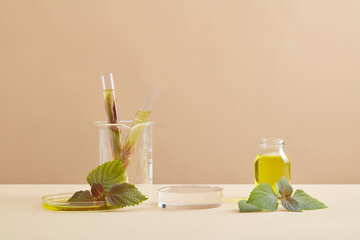 Wall Mural - Test tubes, petri dish and a glass jar filled with essential oil and some beefsteak leaves. Liquid purification in the laboratory with Beefsteak Plant (Perilla frutescens) extract