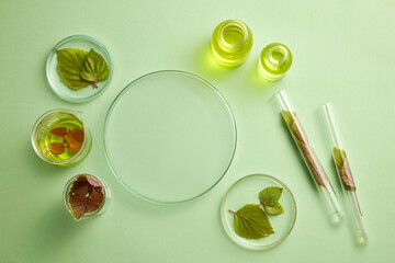 Laboratory glassware containing yellow essential oil and beefsteak leaves. Podium in round-shaped in the middle for cosmetic presentation of Beefsteak Plant (Perilla frutescens) extract