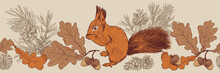 .Dry Oak Leaves And Acorns, Pine Branches, Cones And Squirrel. Hand Drawn Seamless Border Pattern. Vintage Vector Illustration Of Autumn Forest.