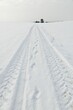 Winter landscape with road and track, winter in Germany
