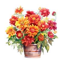 A Watercolor Bushel Basket Of Red, Orange, Yellow, Zinnias Flowers Bouquet Sublimation Transparent Background.