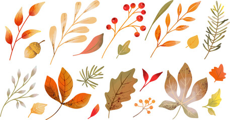 Wall Mural - Watercolor different autumn leaves, berries and branches isolated on white background. Vector elements for fall season decor
