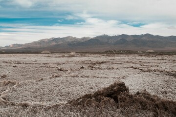 Sticker - Vast grassy plain with a majestic mountain range in the background