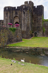 Wall Mural - Caerphilly Castle - second largest castle in United Kingdom - Caerphilly - Wales