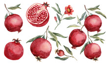 Pomegranate And Pomegranate Flower Illustration Set - Illustration. Hand Drawn Watercolor Picture On White Background.