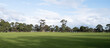 Background texture panoramic view of a vast vacant grass lawn with a variety of trees in the background. Panorama of a formal botanical garden with a large outdoor open space. Copy space