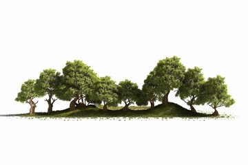 Nature, trees and environment with forest on white background for ecology, garden and sustainability. Ai generated, summer and landscape with woods on space for plant, leaf and climate change