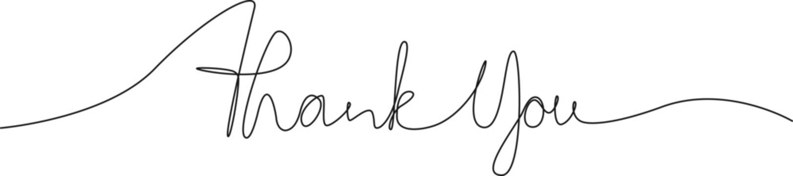 continuous single line drawing of phrase THANK YOU, line art vector illustration