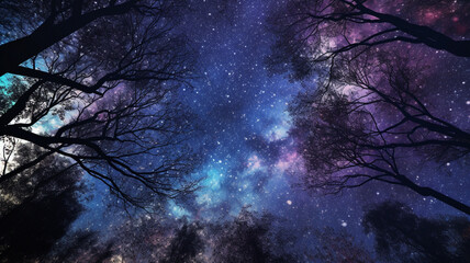 Wall Mural - night, milky way and stars in dark sky in nature, forest and woods for stargazing, astrophotography 