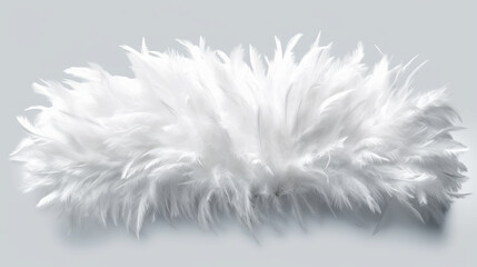 feather on white hd 8k wallpaper stock photographic image