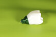 implant on green background ,