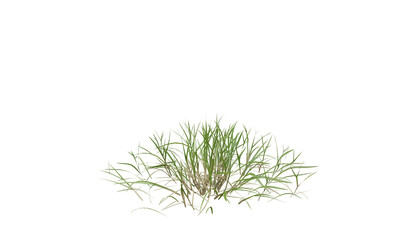 Sticker - Bunches of grass on a transparent background. 3D rendering.