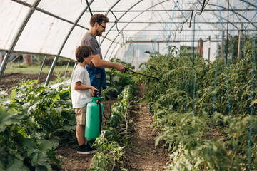 Wall Mural - Side view of a boy helping father in the greenhouse.