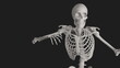 © dada_design - skeleton posing 3d render with black background