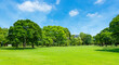 © Marco - beautiful park with beautiful trees in the background and blue sky with clouds