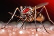 mosquito sucking human blood profesional photography ai generated