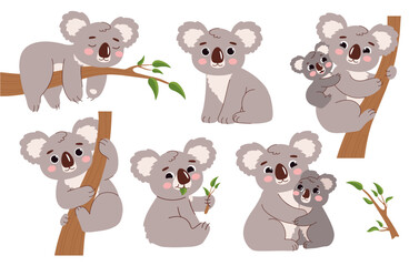  Cute koala on branch set