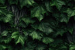 Nahtlos wiederholendes Muster - Textur von grünen Blättern mit Rinde im Hintergrund