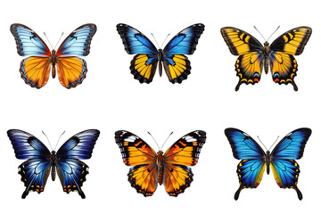 Collection of multicolored butterflies isolated on transparent background