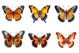 Fototapeta Motyle - Collection of multicolored butterflies isolated on transparent background