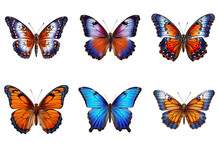 Collection Of Multicolored Butterflies Isolated On Transparent Background