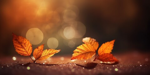 Leinwandbilder - web banner design for autumn season and end year activity with red and yellow maple leaves with soft focus light and bokeh background