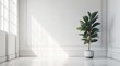 Tropical plant with lush leaves on floor near white wall. Space for text