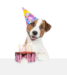 Poster - Jack russell terrier puppy wearing party hat holds birthday cake with lot of candle above empty white board. isolated on white background