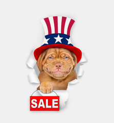 Poster - Happy Mastiff puppy wearing like Uncle Sam looking through a hole in paper and shows signboard with labeled 