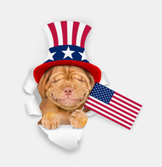 Poster - Happy Mastiff puppy wearing like Uncle Sam looking through a hole in paper and showing flag USA. isolated on white background