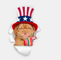 Smiling Mastiff puppy wearing like Uncle Sam looking through a hole in paper and points away on empty space. isolated on white background