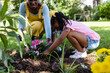 African american mother assisting daughter in planting pink flowers in dirt on field at backyard
