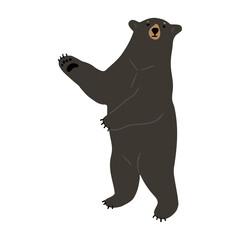 Wall Mural - American Black Bear Single 32 PNG