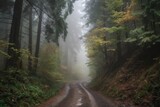 Fototapeta  - traveling through foggy forest with tall trees, created with generative ai