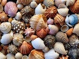 Fototapeta Łazienka - AI generated pile of shells and starfish