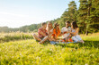 © maxbelchenko - Group of young people  having fun while drinking beer,  talking at picnic party outside city on warm summer day. Vacation, picnic, friendship or holliday concept.