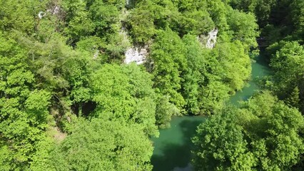 Canvas Print - Drone footage of forest trees over flowing turquoise river water on a sunny day