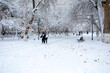 People play snow in Samarkand.