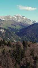 Sticker - Aerial of big mountains with rocky peaks surrounded by dense forests