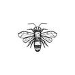 Bee and Honey logo hand drawn icon
