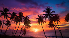 Palm Trees Silhouettes On Tropical Summer Beach At Vivid Sunset Time