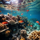 Fototapeta Do akwarium - coral reef and fish