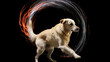 A playful video of a dog chasing its tail in circles, showcasing its boundless energy and pure joy, AI-Generated