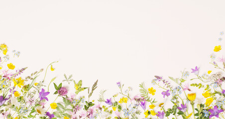 Wall Mural - beautiful wild flowers on white background