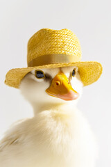 Sticker - Duck with straw hat on it's head looking at the camera. Generative AI.