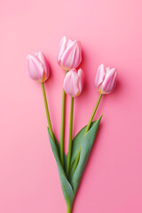 Canvas Print - Three pink tulips on pink background with green stems and leaves. Generative AI.