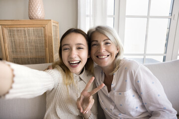 Wall Mural - Cheerful carefree teenage kid girl and happy mature grandma taking selfie together at home, looking at camera with toothy smiles, smiling, laughing, holding gadget with webcam