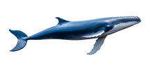 Blue Whale Isolated On Transparent Background