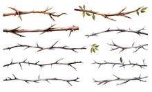 Collection Of Soft Watercolor Thorns And Branches Isolated On A Transparent Background, Generative Ai